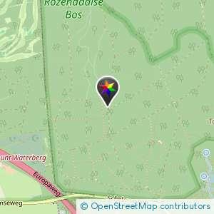 Rozendaalse bos / veluwe