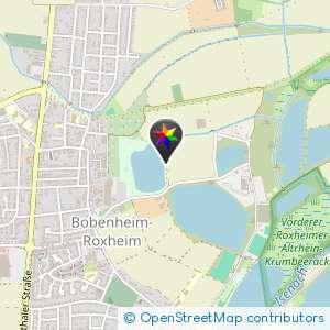 Nachtweidenweiher Bobenheim Roxheim