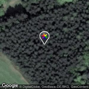 Golfclub, Wald