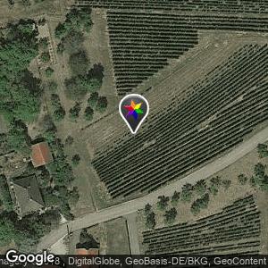 Les vignes de Rosenwiller