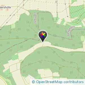 Wald zwischen Besigheim und Bietigheim