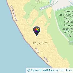 Plage de l'Espiguette