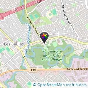 Parking rue Neuvialle (près de père lelièvre)