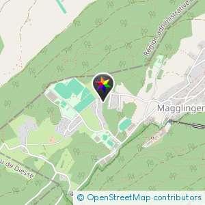 Magglingen Wald