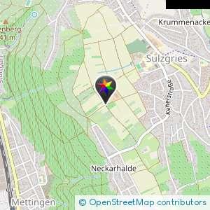 Feldweg Neckarhalde
