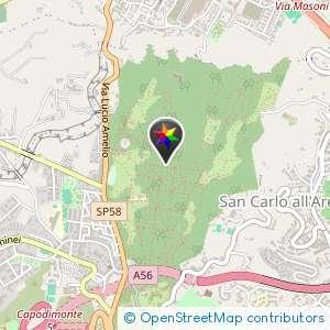 Bosco di Capodimonte