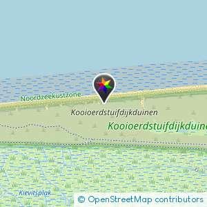 Naakt strand duinen