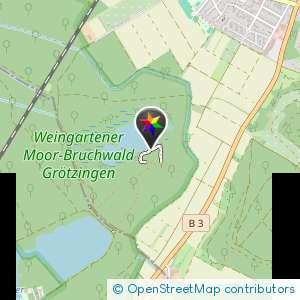 Beobachtungspunkt Moor