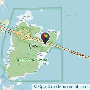 Svinö