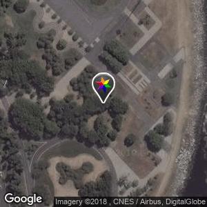 Aterro do Flamengo, Arvores