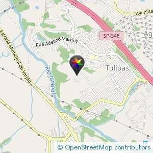 Pasto tulipas