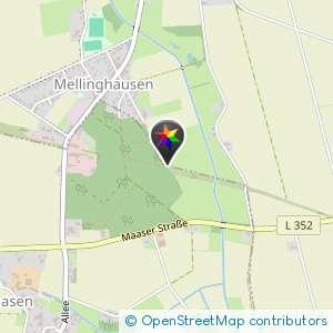Wald am Höpen