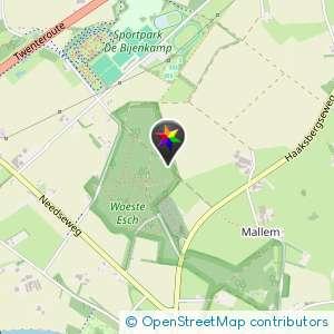 Scoutingbos eibergen