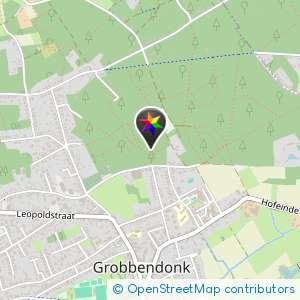 Bos bij het kerkhof