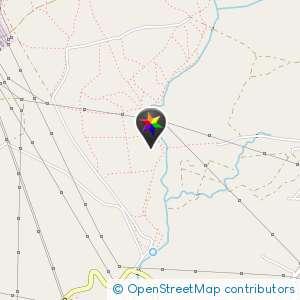 Pinar del rey