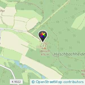 Am Willisch