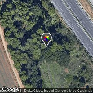 Bosques cerca puente C-58C