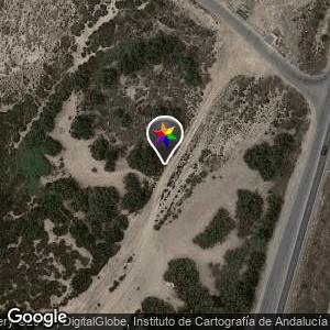 Zona de matorrales