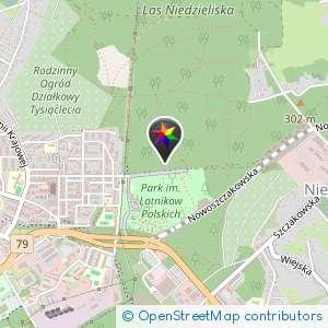 Las za parkiem