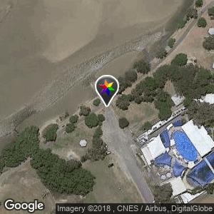 Pet Porpoise Pool Toilet Block