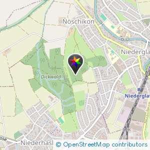 Wald zwischen Niederglatt/Dielsdorf