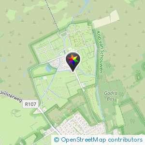 Camping Ginsterveld