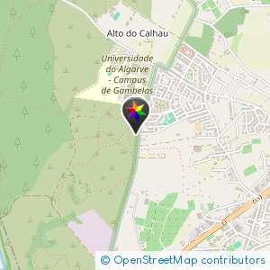 Mata de Gambelas