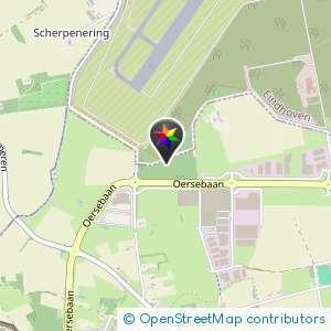 Bossen bij luchthaven