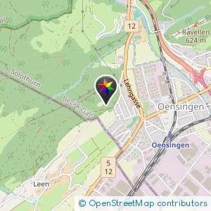 Abens blasen im Wald