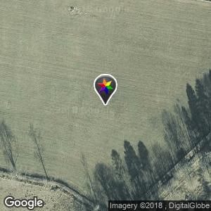 Randalstown forest