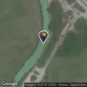 Bird Sanctuary