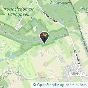 Bosjes bij palingbeek