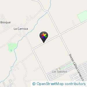 Camino empedrado