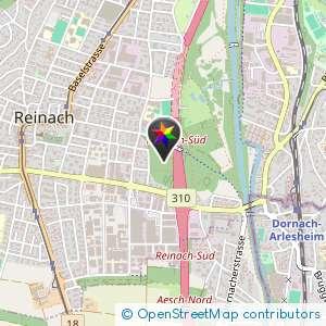 Reinach BL Wald