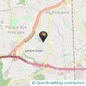Campo De Futebol Do Mocidade - Rio Pequeno