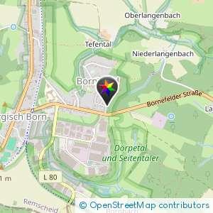 Wald in der siedlung