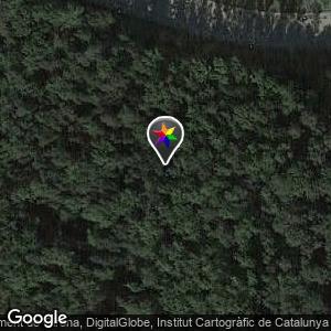 Bosque en el Polígono La Avellaneda