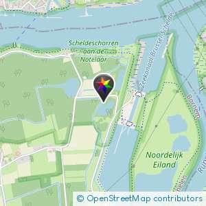 Afgelegen bos padje