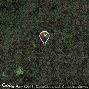 Lower Green Swamp Preserve