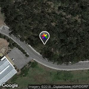 Pinhal em Santo António dos Cavaleiros