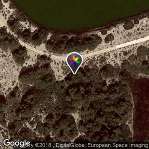 Zona bosque