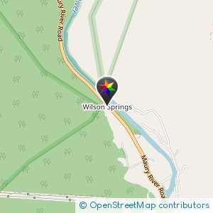 Wilson springs