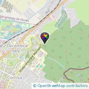 Padurea dintre UMF si Spitalul Judetean