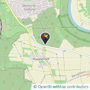 Wald bei MTB Strecke