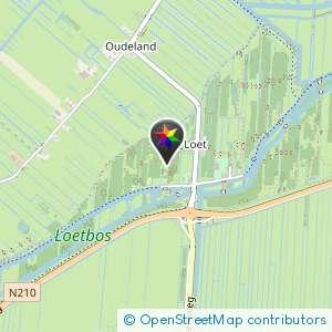 Loetbos