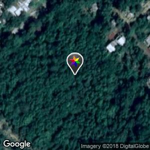 Bosque detrás de la Leonardo Primaria