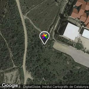 Instituto Torre del Palau