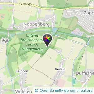 Waldstück Noppenberg (Römergasse)