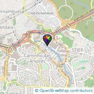 Bluefit - Caminho das Árvores