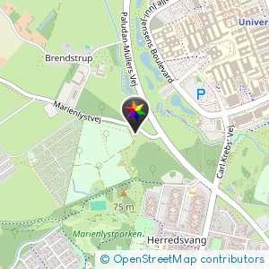 Brendstrup Hundeskov Parkering